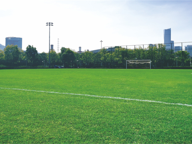 上海棒球场草坪养护规划