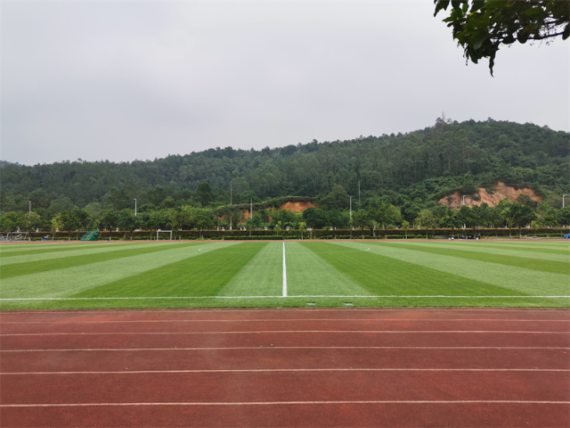 上海人造草坪足球场喷灌设计