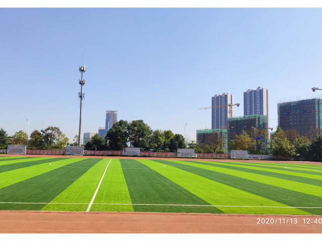 四川人工草坪足球场