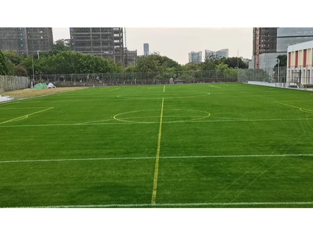 上海天然草皮足球场施工方案