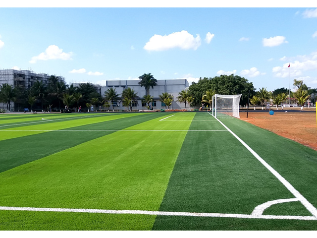 成都标准足球场绿化草坪