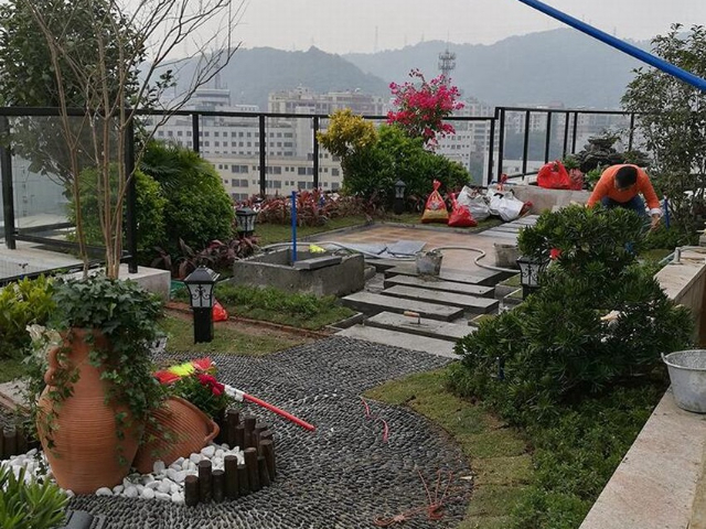 上海中式園林景觀服務商 上海京菁花卉園藝供應;