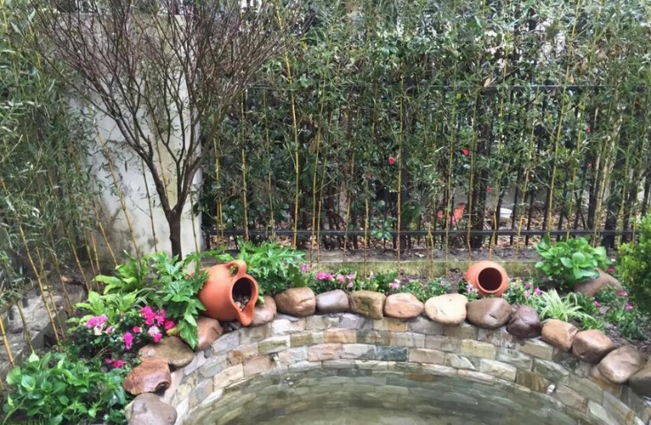 上海屋頂園林景觀施工方法 上海京菁花卉園藝供應