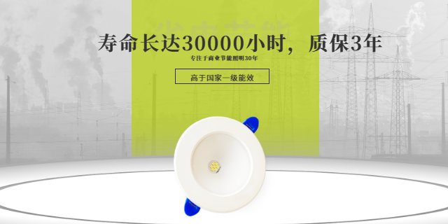 長(zhǎng)時(shí)間照明節(jié)能筒燈價(jià)格 抱誠(chéng)守真 杭州遙遙領(lǐng)先節(jié)能科技供應(yīng)