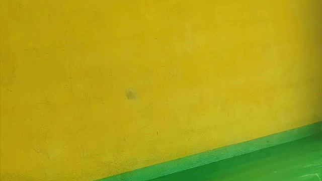 浙江刷墙墙固应用 天尧厂家 上海市尧帝建筑装饰材料供应