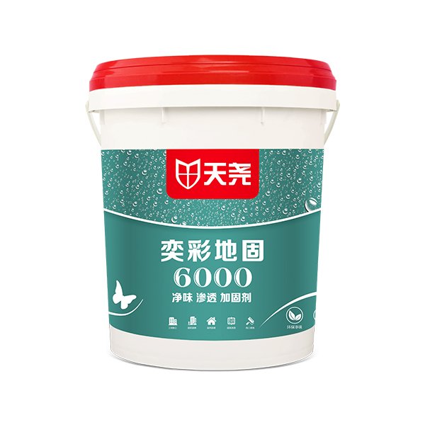 奕彩地固6000（滲透型）