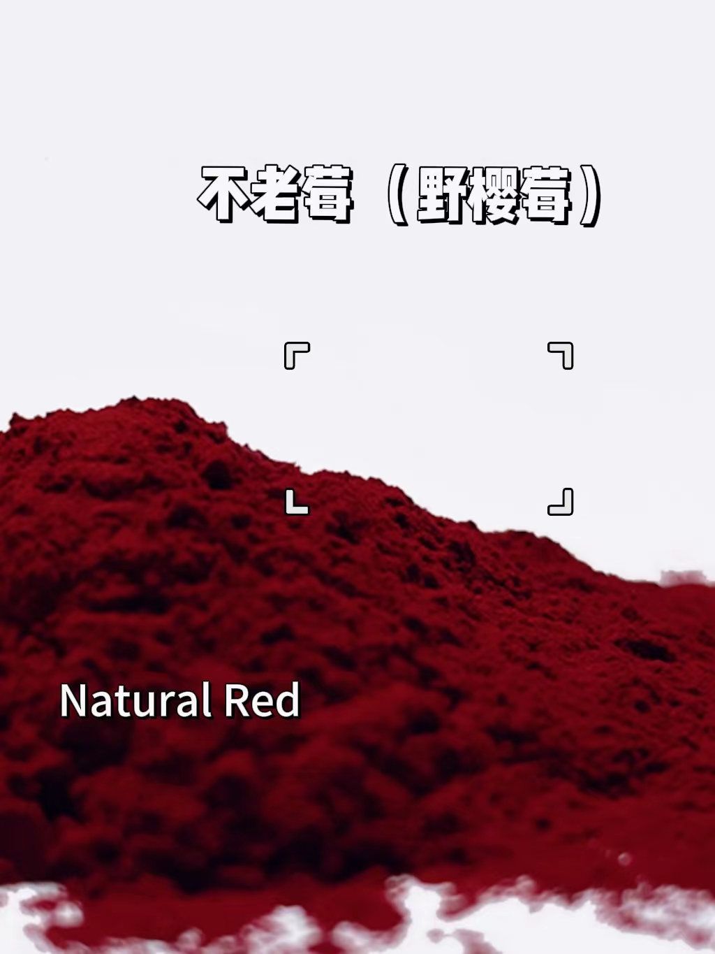 賓美 不老莓粉 天然.jpg