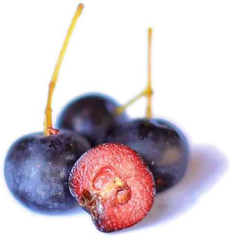 93e8b67c0ea87d46f262ae62599925c.png 93e8b67c0ea87d46f262ae62599925c.png