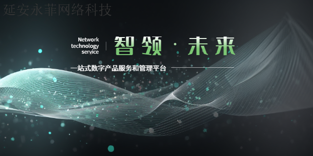 耀州区营销软件有几种 服务至上 延安市永菲网络科技供应