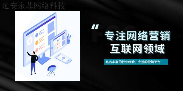 吴起网站建设怎么设置 服务至上 延安市永菲网络科技供应
