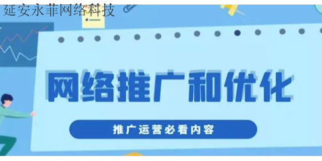 耀州区互联网推广渠道 值得信赖 延安市永菲网络科技供应