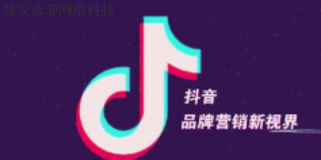 吴堡抖音推广平台 诚信为本 延安市永菲网络科技供应