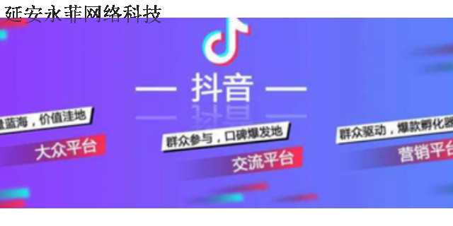 乌审旗短视频推广公司 信息推荐 延安市永菲网络科技供应