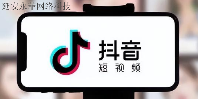 靖边短视频推广怎么做 欢迎来电 延安市永菲网络科技供应