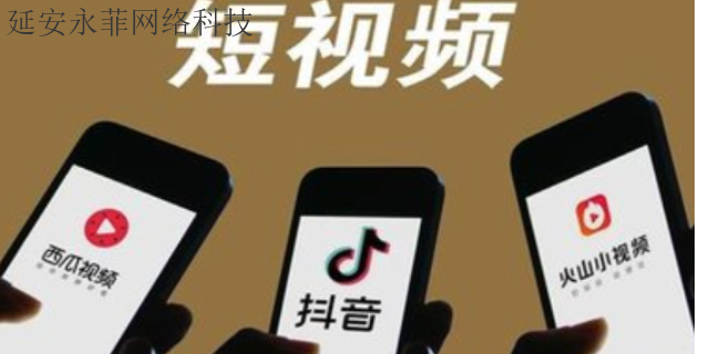 黄陵短视频推广策划方案 诚信服务 延安市永菲网络科技供应
