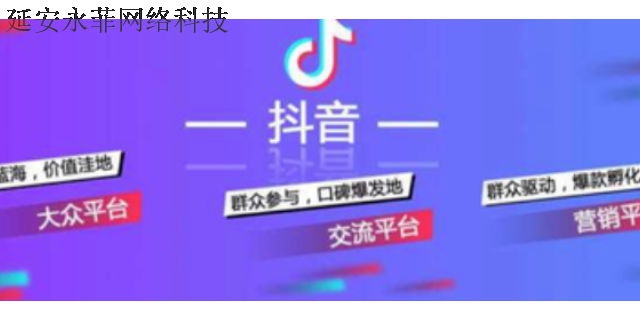 靖边自媒体推广平台 欢迎咨询 延安市永菲网络科技供应