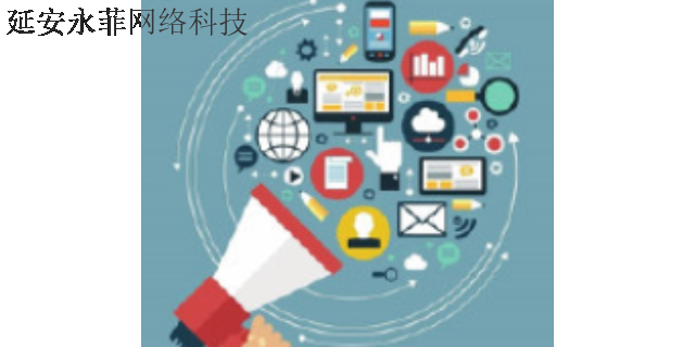 耀州区seo全网营销 和谐共赢 延安市永菲网络科技供应