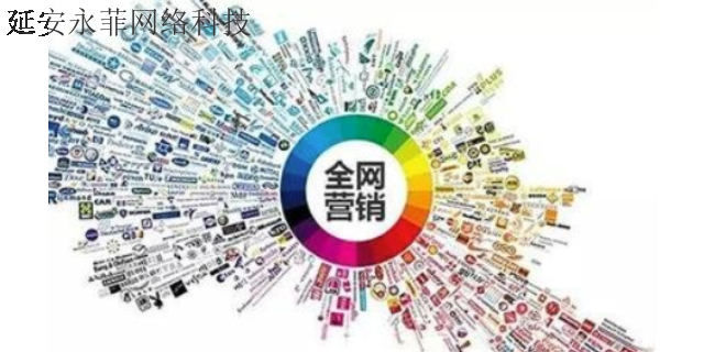 子长全网营销推广 信息推荐 延安市永菲网络科技供应