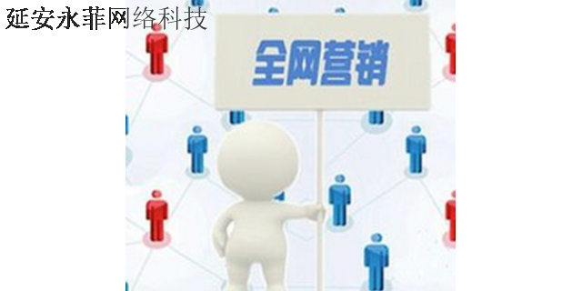 陕西全网营销推广公司 欢迎咨询 延安市永菲网络科技供应