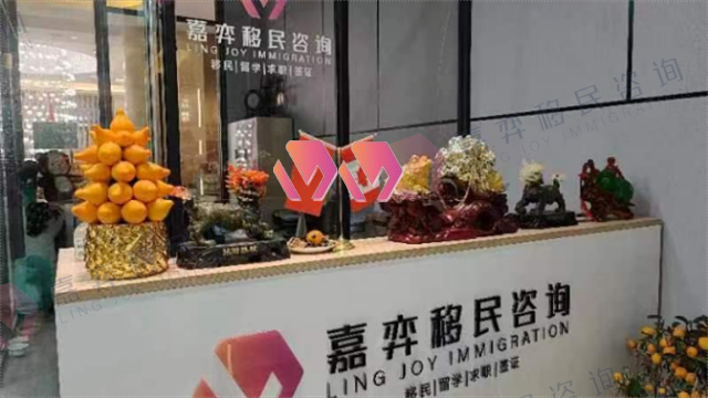 上海旅游轉工簽移民哪家好 嘉弈（上海）因私出入境服務(wù)供應