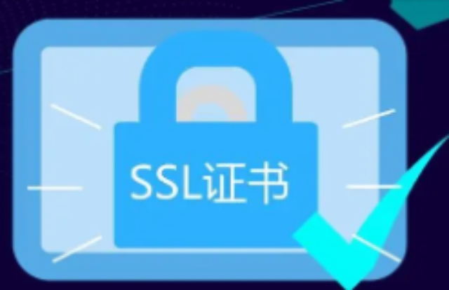 上海网络SSL数字证书零售价