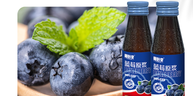 甘肃好喝的蓝莓原浆适合什么人喝 欢迎咨询 广东安道医疗器械供应