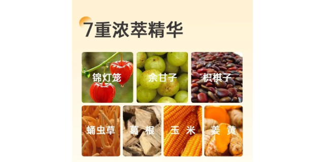 海南护肝的压片糖果工厂直销 欢迎咨询 广东安道医疗器械供应