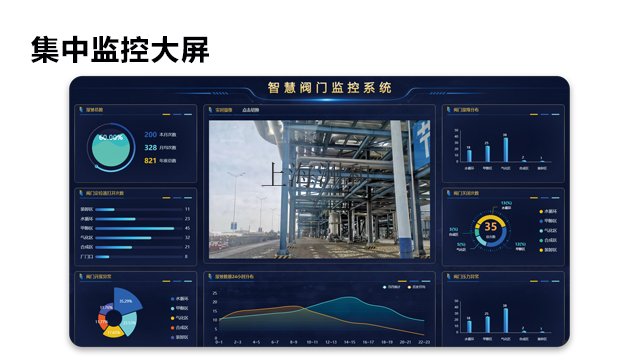 上海电阀监视系统,阀门定位器监控预警系统