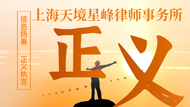 黄浦区离婚法律 欢迎来电 上海天境星峰律师事务所供应