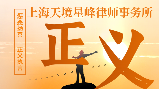镇江离婚赡养费 欢迎咨询 上海天境星峰律师事务所供应