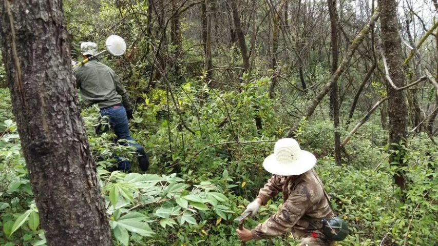 成都地籍测绘推荐哪家 欢迎咨询 栋量科技供应