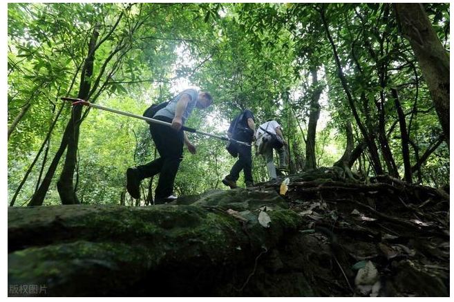 四川测量怎么联系 欢迎来电 栋量科技供应