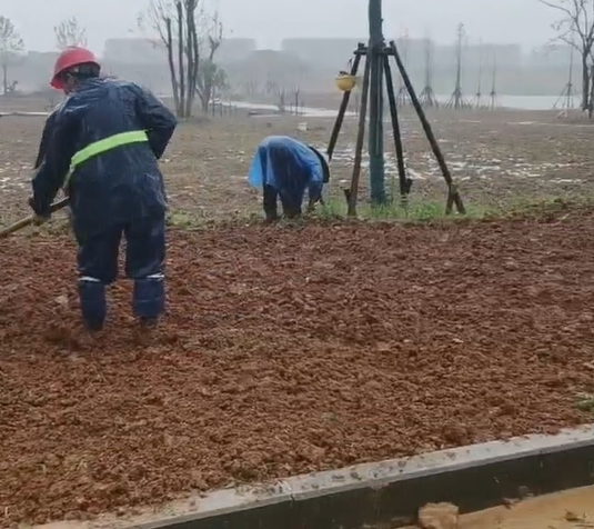 宜興園林綠化工程行業創新翹首，繪就生態宜居新畫卷