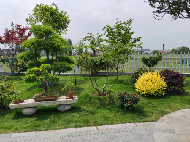 吳中區公路園林綠化電話 誠信經營 宜興市龍崎園林綠化工程供應