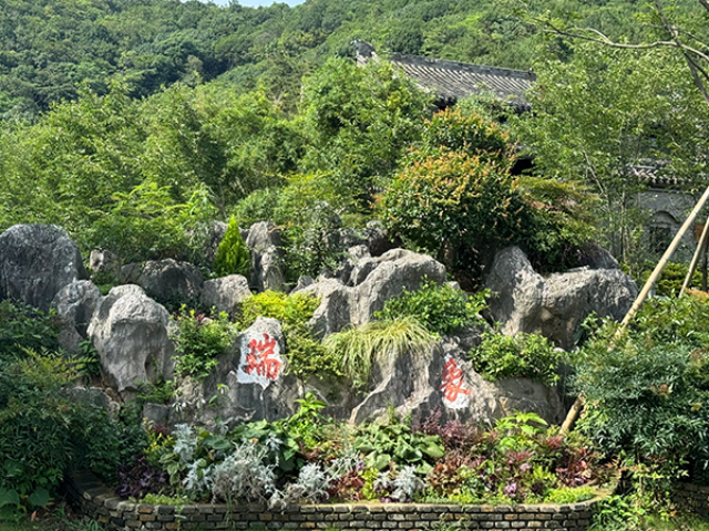 江苏湿地园林绿化技术指导 服务至上 宜兴市龙崎园林绿化工程供应