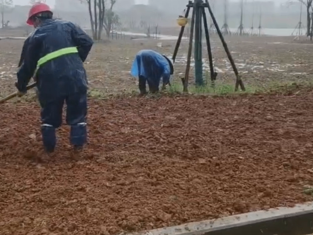 梁溪區(qū)園林綠化公司 真誠推薦 宜興市龍崎園林綠化工程供應(yīng)