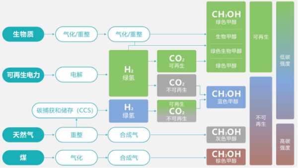 超級(jí)蘆竹