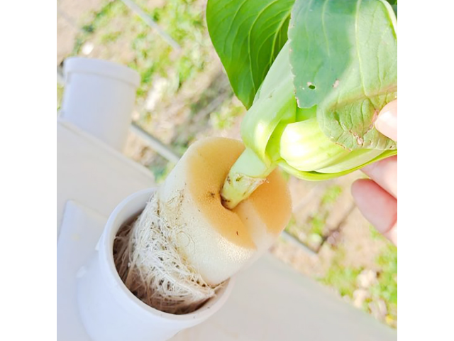 麗水室內(nèi)育苗海綿 麗水市云創(chuàng)海綿制品供應(yīng)