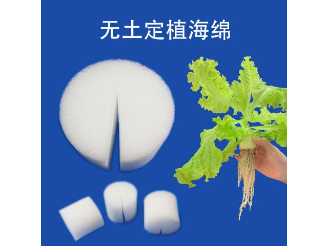 麗水無(wú)土定植海綿 麗水市云創(chuàng)海綿制品供應(yīng)