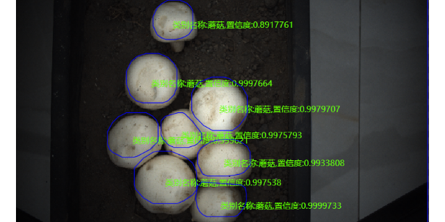 北京機器視覺檢測解決方案 來電咨詢 南京熙岳智能科技供應(yīng)