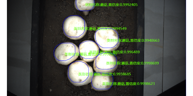 江蘇視覺檢測機(jī)器人 創(chuàng)新服務(wù) 揚(yáng)州熙岳智能科技供應(yīng)