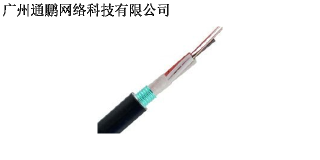 清远两芯皮线光纤熔接需要多少钱 诚信经营 广州通鹏网络科技供应