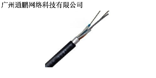 12芯光缆熔接 服务为先 广州通鹏网络科技供应