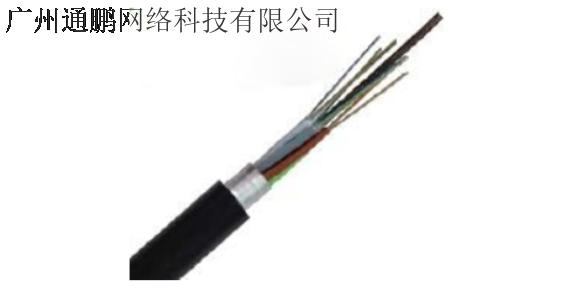 禅城区96芯光纤 服务为先 广州通鹏网络科技供应