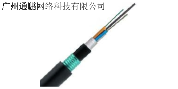 花都区4芯光纤 服务为先 广州通鹏网络科技供应
