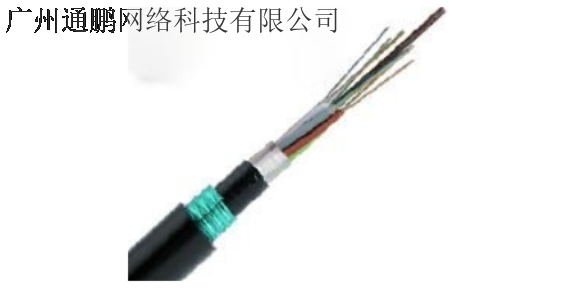 高明区光纤售价 服务至上 广州通鹏网络科技供应