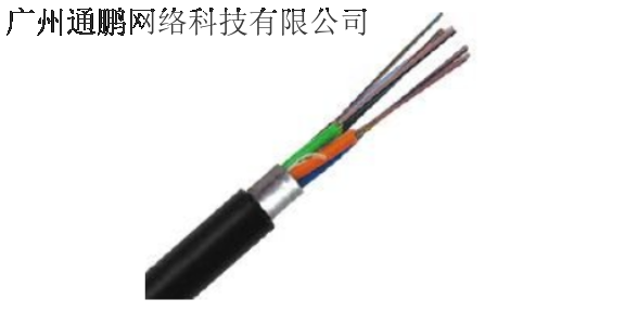 南沙区光纤质量如何 服务至上 广州通鹏网络科技供应