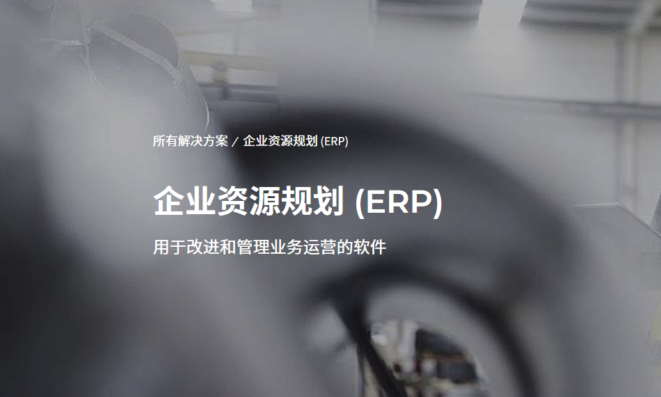 深圳InforERP管理软件代理公司 值得信赖 润数信息技术供应