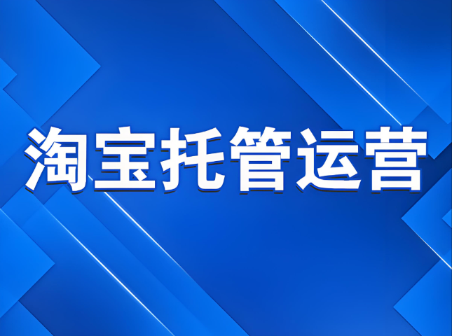 山东推荐淘宝代运营托管 真诚推荐 济南信钰晨网络科技供应