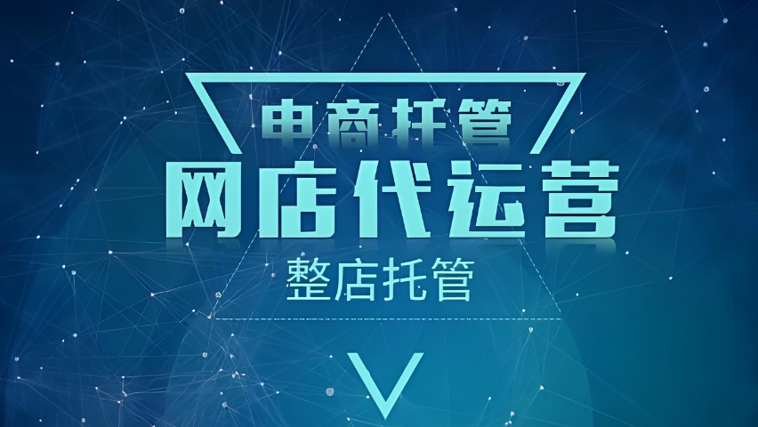 山东淘宝代运营 欢迎来电 济南信钰晨网络科技供应